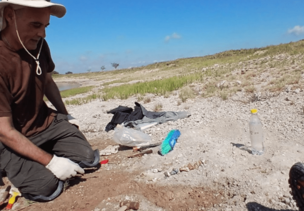 Hallaron fósiles de hasta 7 millones de años en Rolón tras la denuncia de un&nbsp;vecino