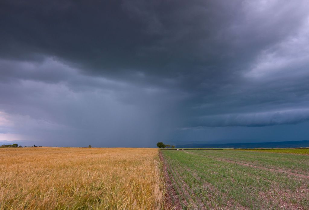 La trampa de pensar en blanco y negro en el campo argentino